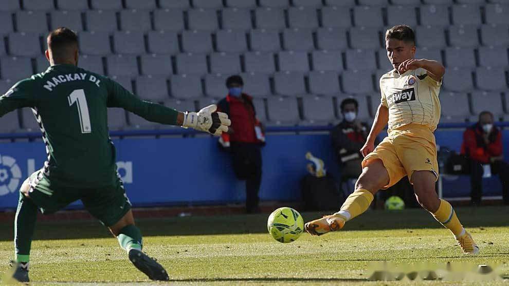 荷甲直播在线观看高清-九游官方平台